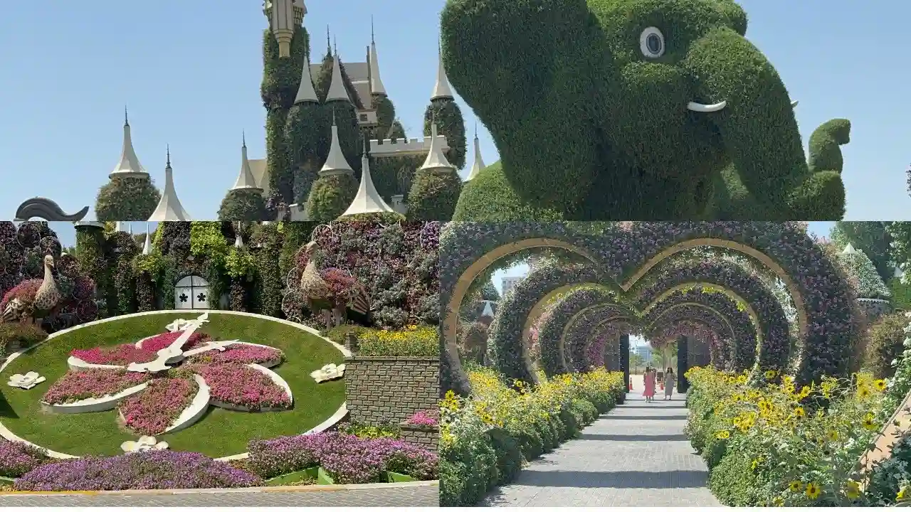Miracle Garden + City Tour